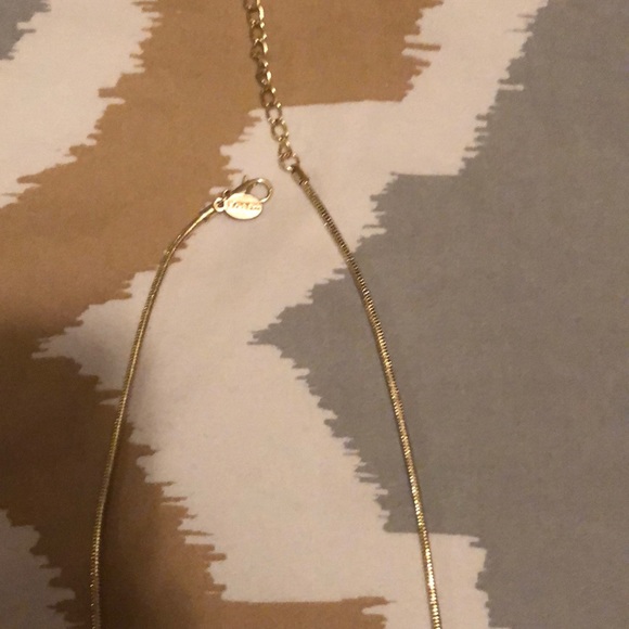 Express Necklace - Picture 2 of 2